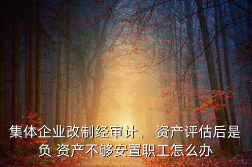 集體企業(yè)改制經(jīng)審計、 資產(chǎn)評估后是負(fù) 資產(chǎn)不夠安置職工怎么辦