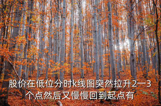 低位反彈之后加速拉升什么情況，股價(jià)在低位分時(shí)k線圖突然拉升2一3個(gè)點(diǎn)然后又慢慢回到起點(diǎn)有