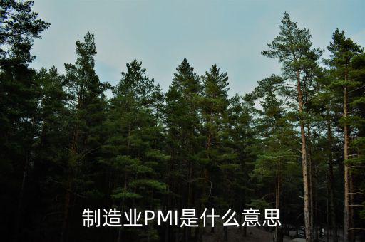 什么是pmi，制造業(yè)PMI是什么意思