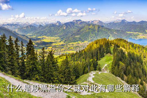股票溢價是什么意思，什么是股票溢價之謎對此有哪些解釋