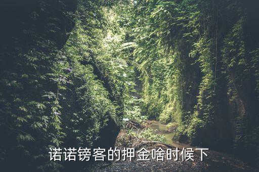 諾諾鎊客里的收本金額是什么，諾諾鎊客的押金啥時(shí)候下