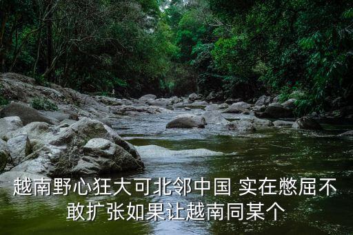 越南為什么那么狂，越南野心狂大可北鄰中國(guó) 實(shí)在憋屈不敢擴(kuò)張如果讓越南同某個(gè)