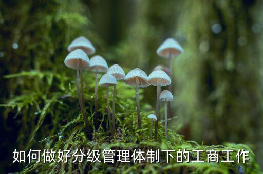 什么是分層分級管理，如何做好分級管理體制下的工商工作
