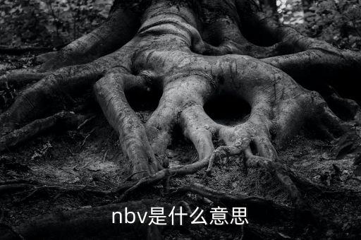 保險(xiǎn)nbv是什么意思，nbv是什么意思