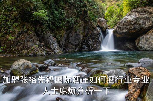 張?jiān)＞葡蠕h是什么，現(xiàn)在的張?jiān)＜t酒都有酒先鋒的標(biāo)記嗎