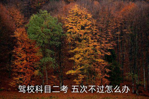 駕?？颇慷?五次不過怎么辦