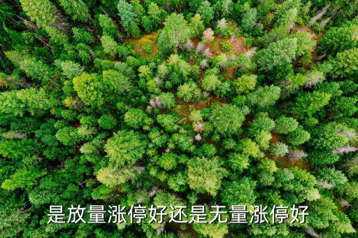 焦點(diǎn)科技漲停跟支付有什么關(guān)系，是放量漲停好還是無(wú)量漲停好