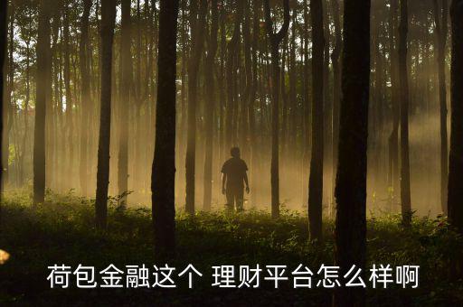  荷包金融這個(gè) 理財(cái)平臺(tái)怎么樣啊