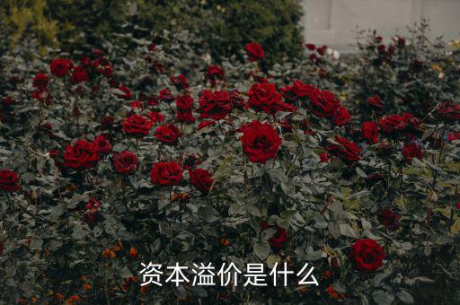 什么是溢價，什么是資本溢價