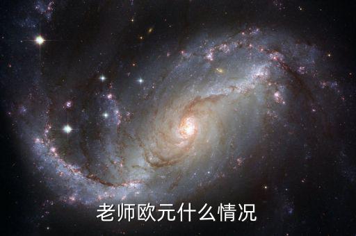 歐元國家是什么意思，老師歐元什么情況