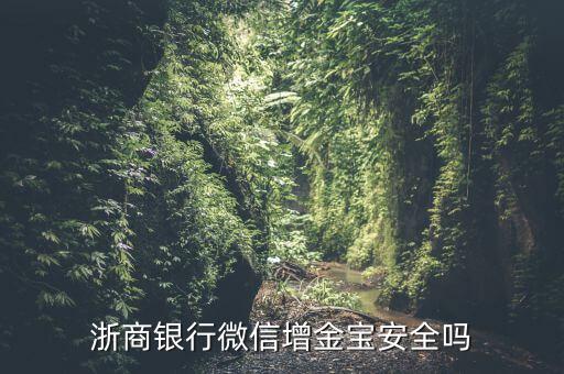 浙商銀行增金寶什么情況，浙商銀行增金寶安全嗎