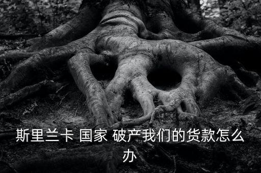 斯里蘭卡 國家 破產我們的貨款怎么辦
