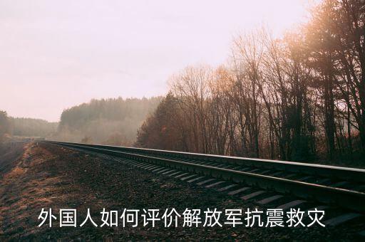 外國人如何評價解放軍抗震救災