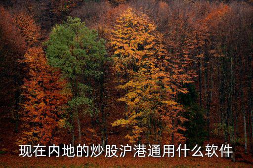 內地炒港股用什么軟件，現在內地的炒股滬港通用什么軟件