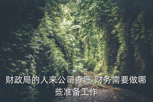 財政局的人來公司查賬 財務(wù)需要做哪些準(zhǔn)備工作