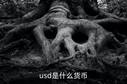 usd什么貨幣，什么是USD