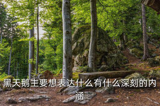 黑天鵝書說的是什么，黑天鵝主要想表達(dá)什么有什么深刻的內(nèi)涵