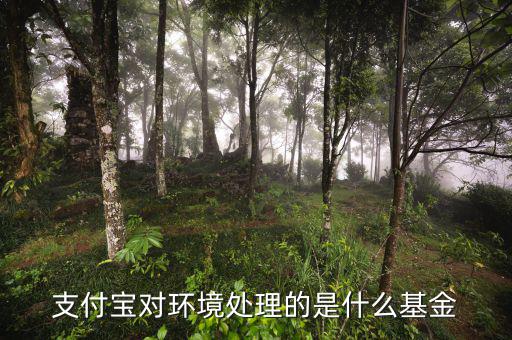 支付寶中的基金是什么，支付寶對環(huán)境處理的是什么基金