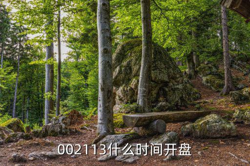 002113什么時(shí)間開(kāi)盤(pán)