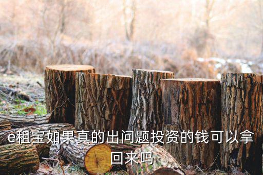 e租寶注冊(cè)有什么風(fēng)險(xiǎn)，朋友讓我給他注冊(cè)個(gè)e租包賬號(hào)安全嗎