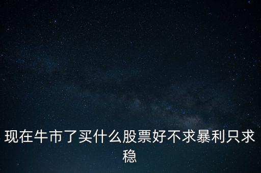 牛市買(mǎi)什么股，現(xiàn)在牛市了買(mǎi)什么股票好不求暴利只求穩(wěn)