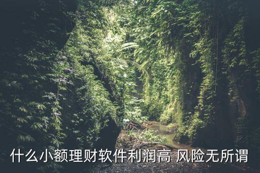 什么小額理財(cái)最安全，什么小額理財(cái)軟件利潤(rùn)高 風(fēng)險(xiǎn)無(wú)所謂