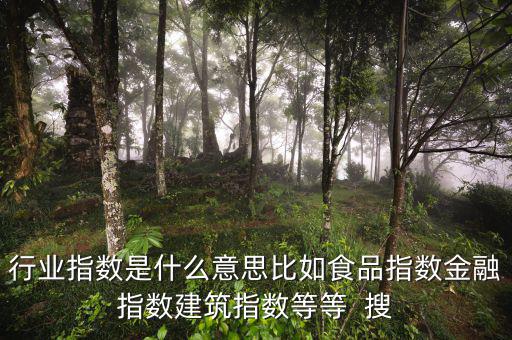 申萬行業(yè)指數(shù)是什么，申萬證券行業(yè)指數(shù)分級(jí)是什么指數(shù)基金嗎