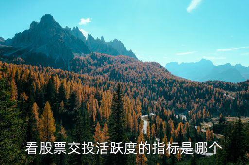 股性活躍看什么指標，股票的活躍度在股票里看那個指標呀