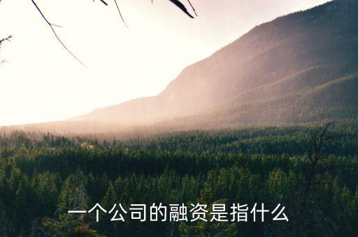 什么叫融資，一個(gè)公司的融資是指什么