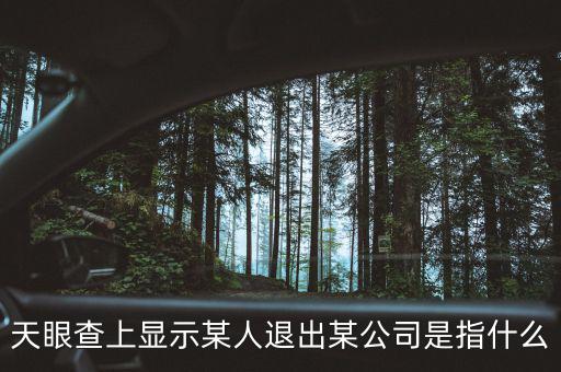 什么是退出類平臺(tái)公司，天眼查上顯示某人退出某公司是指什么