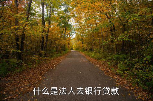 什么是法人銀行，中國(guó)農(nóng)業(yè)銀行是什么法人