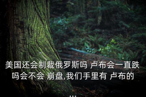 美國(guó)還會(huì)制裁俄羅斯嗎 盧布會(huì)一直跌嗎會(huì)不會(huì) 崩盤,我們手里有 盧布的...
