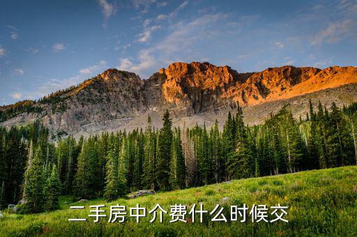 鏈家中介費(fèi)什么時(shí)候付，來(lái)求個(gè)助鏈家中介費(fèi)什么時(shí)候付要一次性付