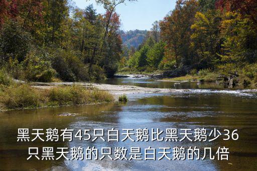 什么是黑天鵝，黑天鵝有45只白天鵝比黑天鵝少36只黑天鵝的只數(shù)是白天鵝的幾倍