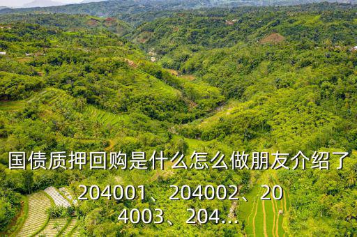 國(guó)債質(zhì)押回購(gòu)是什么怎么做朋友介紹了 204001、204002、204003、204...