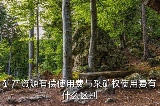什么是采礦權(quán)價(jià)款資金占用費(fèi)，資金占用費(fèi)是怎么回事