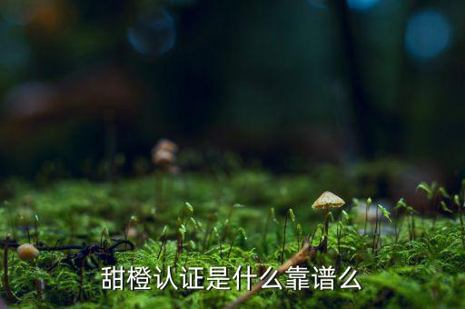 甜橙金融公司是什么，便捷的網(wǎng)貸理財(cái)企業(yè)是什么