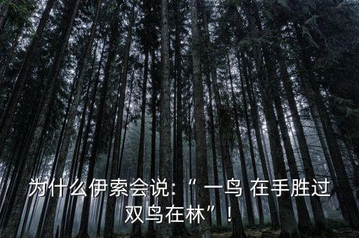 為什么伊索會(huì)說:“ 一鳥 在手勝過雙鳥在林”!