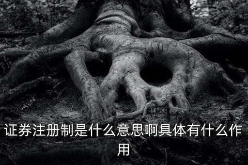 證券注冊制什么意思，證券注冊制是什么意思啊具體有什么作用