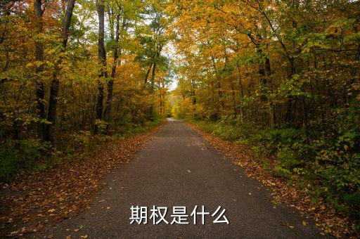 股票期權(quán)是什么，期權(quán)和股權(quán)有什么本質(zhì)區(qū)別嗎