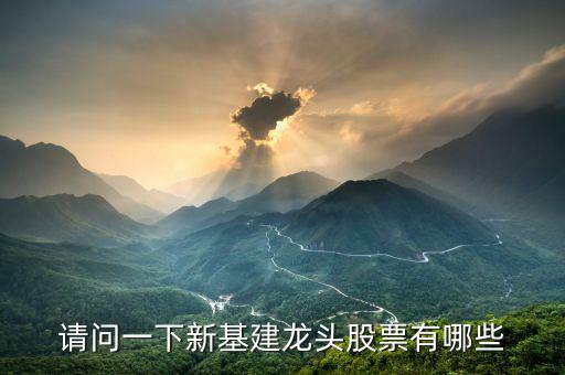請(qǐng)問一下新基建龍頭股票有哪些