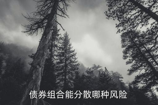 債券組合能分散哪種風(fēng)險(xiǎn)
