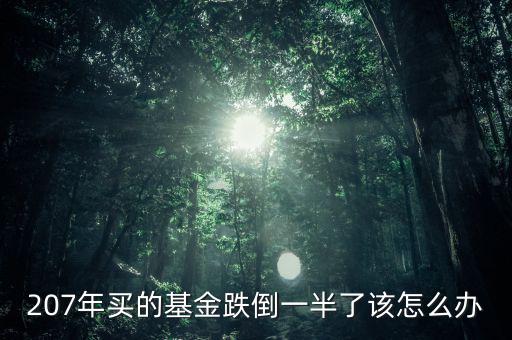 207年買(mǎi)的基金跌倒一半了該怎么辦