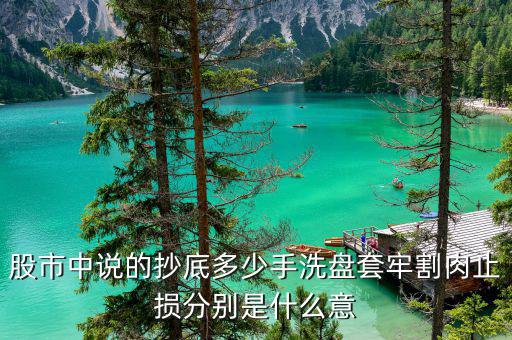 莊家固定幾手的持續(xù)買(mǎi)進(jìn)什么意思，莊家不停的固定幾手拋是什么意思 比如002430 4月25日 9手9手的拋