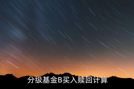  分級基金B(yǎng)買入贖回計(jì)算