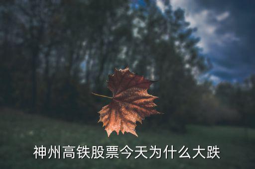 神洲高鐵為什么暴跌，神州高鐵為什么跌31