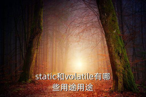 vtm有什么用，static和volatile有哪些用途用途