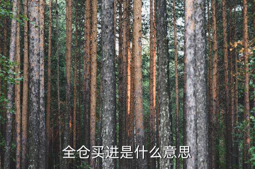 全倉買入是什么意思，掛高全倉買入什么意思