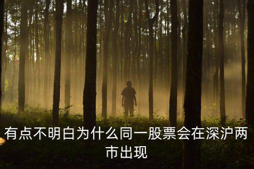 有點不明白為什么同一股票會在深滬兩市出現
