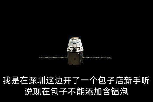 包子禁止添加什么，我是在深圳這邊開(kāi)了一個(gè)包子店新手聽(tīng)說(shuō)現(xiàn)在包子不能添加含鋁泡